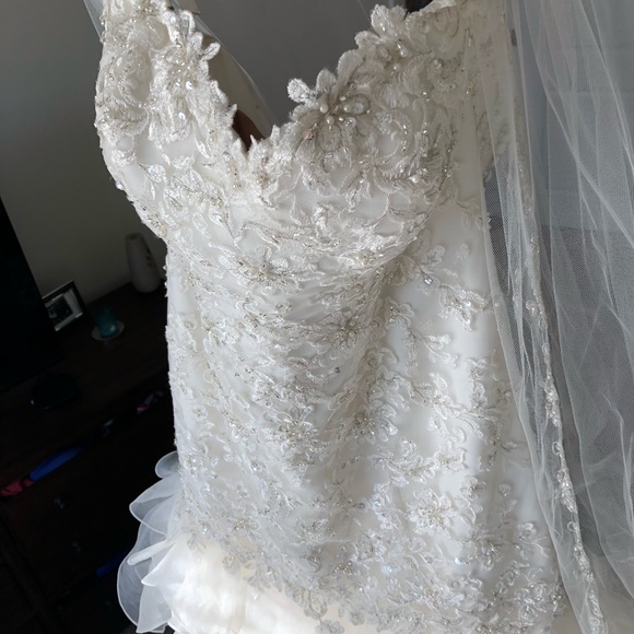 Michelle Roth Wedding Dress from Kleinfeld - Picture 2 of 8